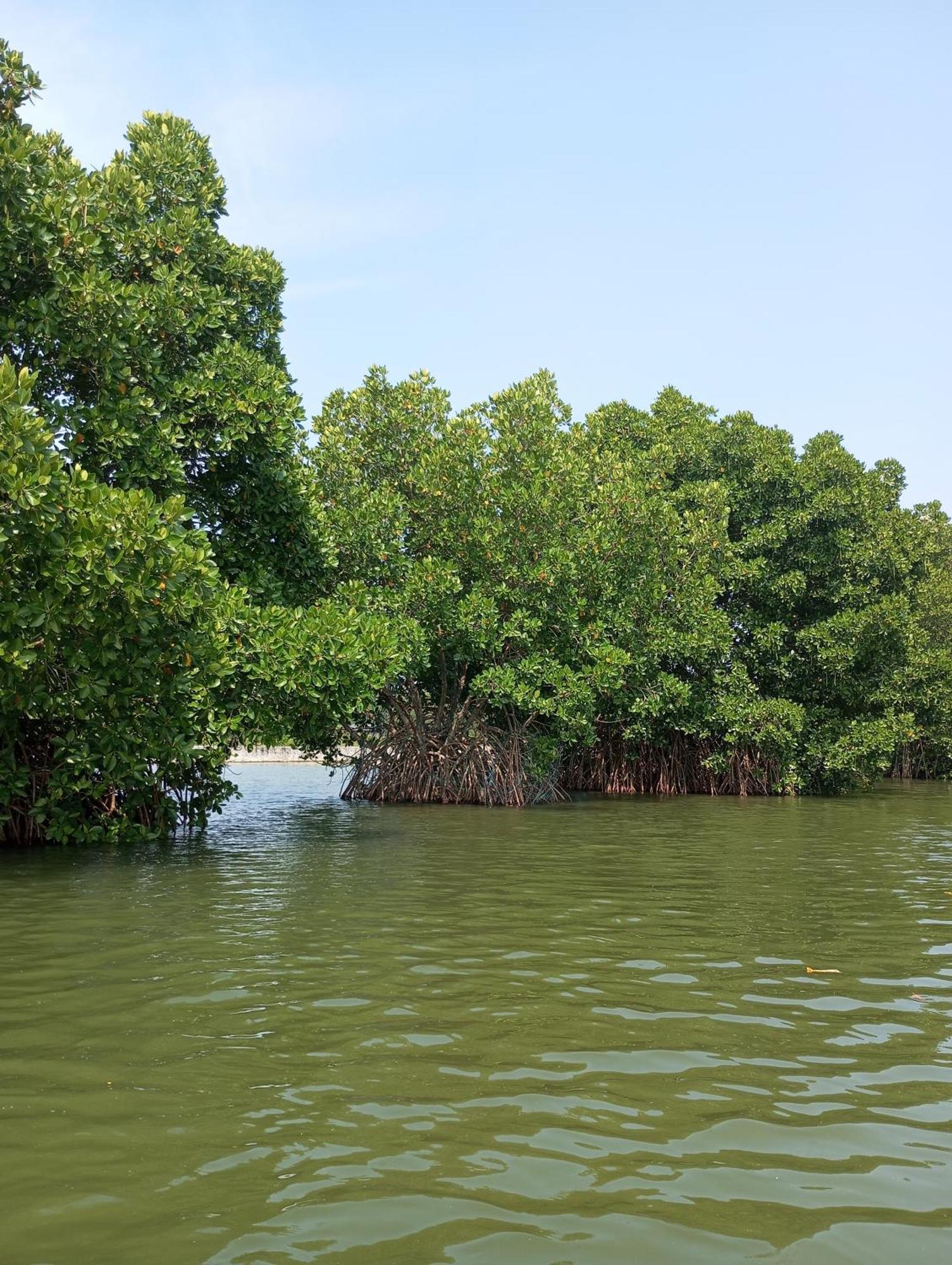 Munroe Vision Panakkattu Homestay Mundrothuruth 外观 照片